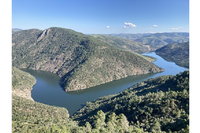 New Ports from the Douro Blog from MWH Wines