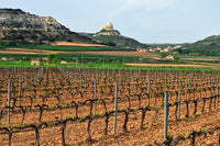 Ribera Del Duero blog from MWH Wines