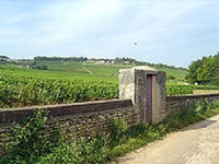 Producer Profile: Domaine Tatraux, Burgundy