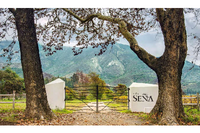 Sena 2021 blog from MWH Wines