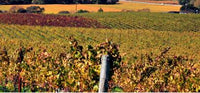 St Emilion Classification blog from MWH Wines
