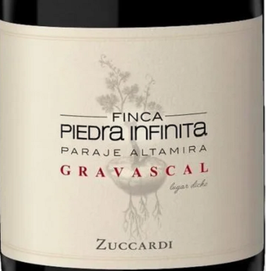 Zuccardi Finca Piedra Infinita Gravascal 2017 - MWH Wines